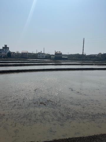 中壢農地-1
