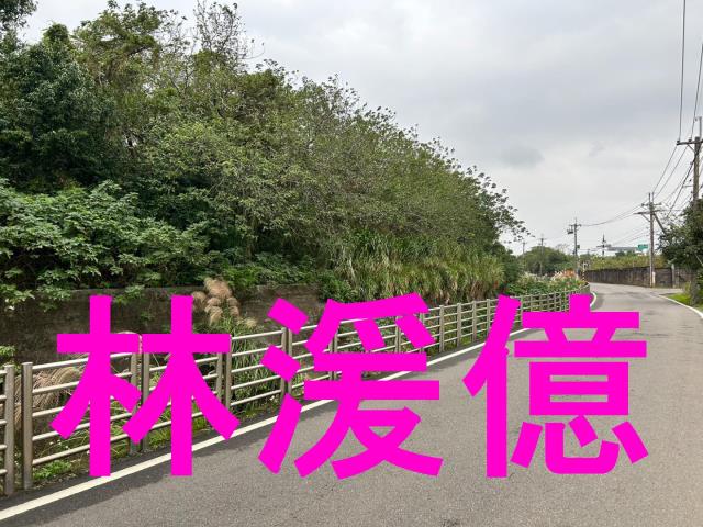 桃園中壢農地-2