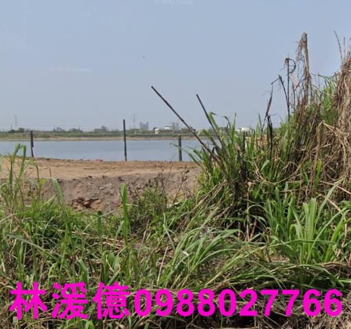 桃園觀音農地-1