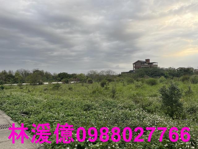 中壢農地-0