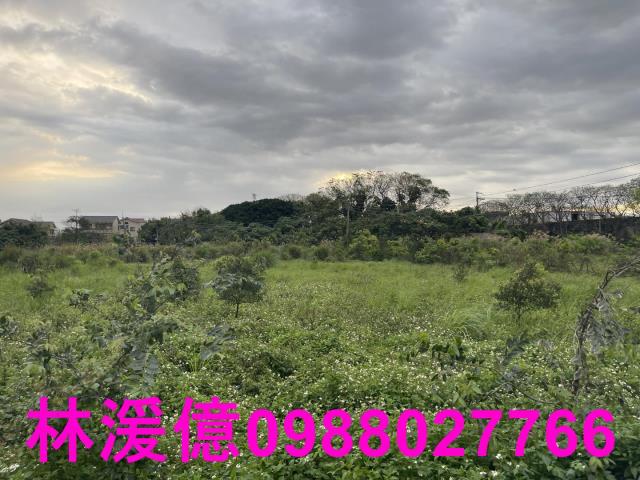 中壢農地-1
