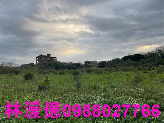 中壢農地-3