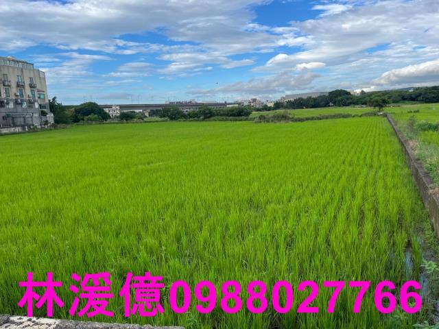 桃園農地-4
