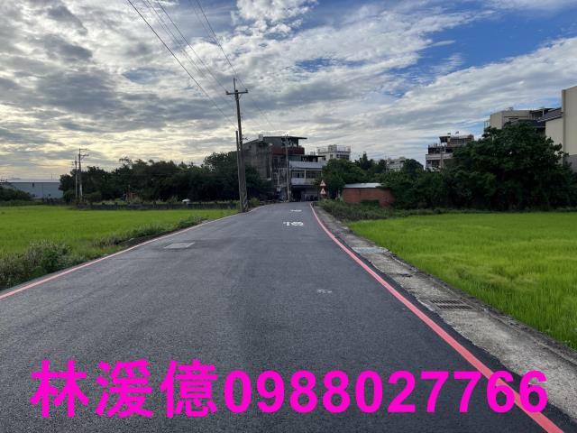 桃園農地-0